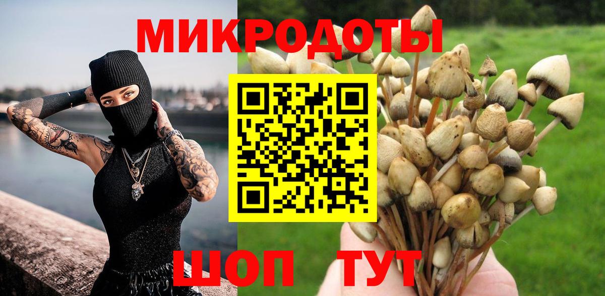 Галлюциногенные грибы MAGIC MUSHROOMS  купить наркотики сайты  Рязань  Вход с VPN 