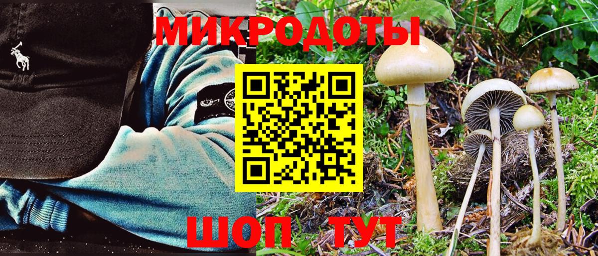 Псилоцибиновые грибы GOLDEN TEACHER Рязань